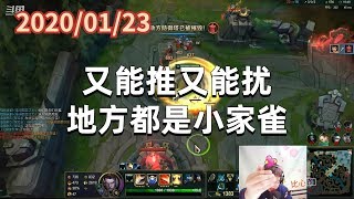 东北大鹌鹑0123P3盖伦：又能推又能扰，地方都是小家雀