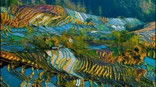 LAGU ROHANI KRISTEN TERBARU | DICICIP AIR MADU YANG MANIS |  JANUAR ISHAK  || 30