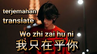 lagu mandarin 我只在乎你  Wo zhi zai hu ni 邓丽君的热门歌曲 【動態歌詞】新版本 2025