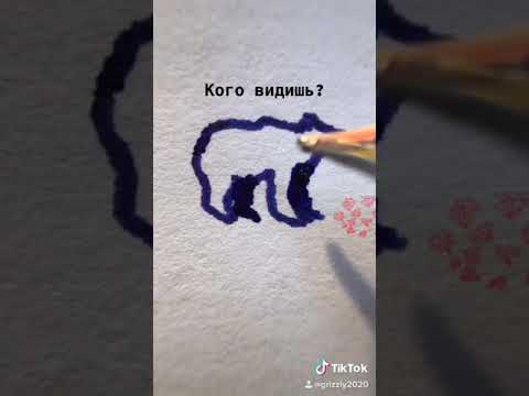 Простой способ, как нарисовать медведя. A simple way to draw a bear.