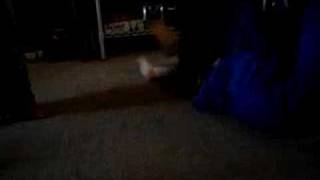 the blob- part one