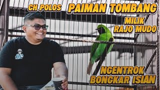 CH POLOS PAIMAN TOMBANG MILIK RAJO MUDO NGENTROK BONGKAR ISIAN JUARA 3 DI LOMBA BURUNG KURNIA GROUB