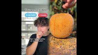 Pov Every Day Your Not Allowed To Do A Certain Human Activity