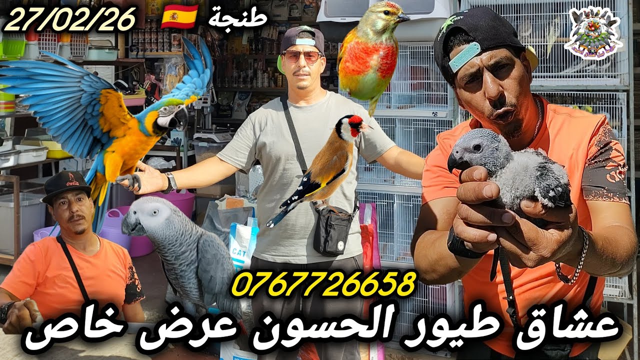 أقوى تشكيلة لعام 2026 🦜 من الحسون الملكي إلى الكوكتيل أسعار لا تصدق 🤫🎯