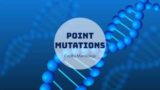 Genetics 311 4-1B