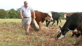 Information Grayson College program teaches the business of agriculture Guide