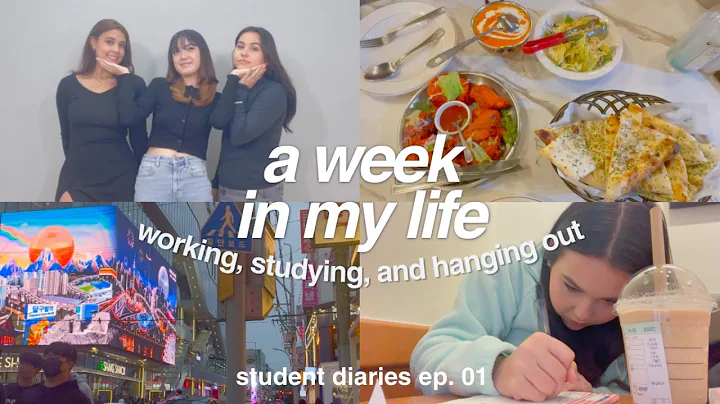university diaries  life as a working full time st...