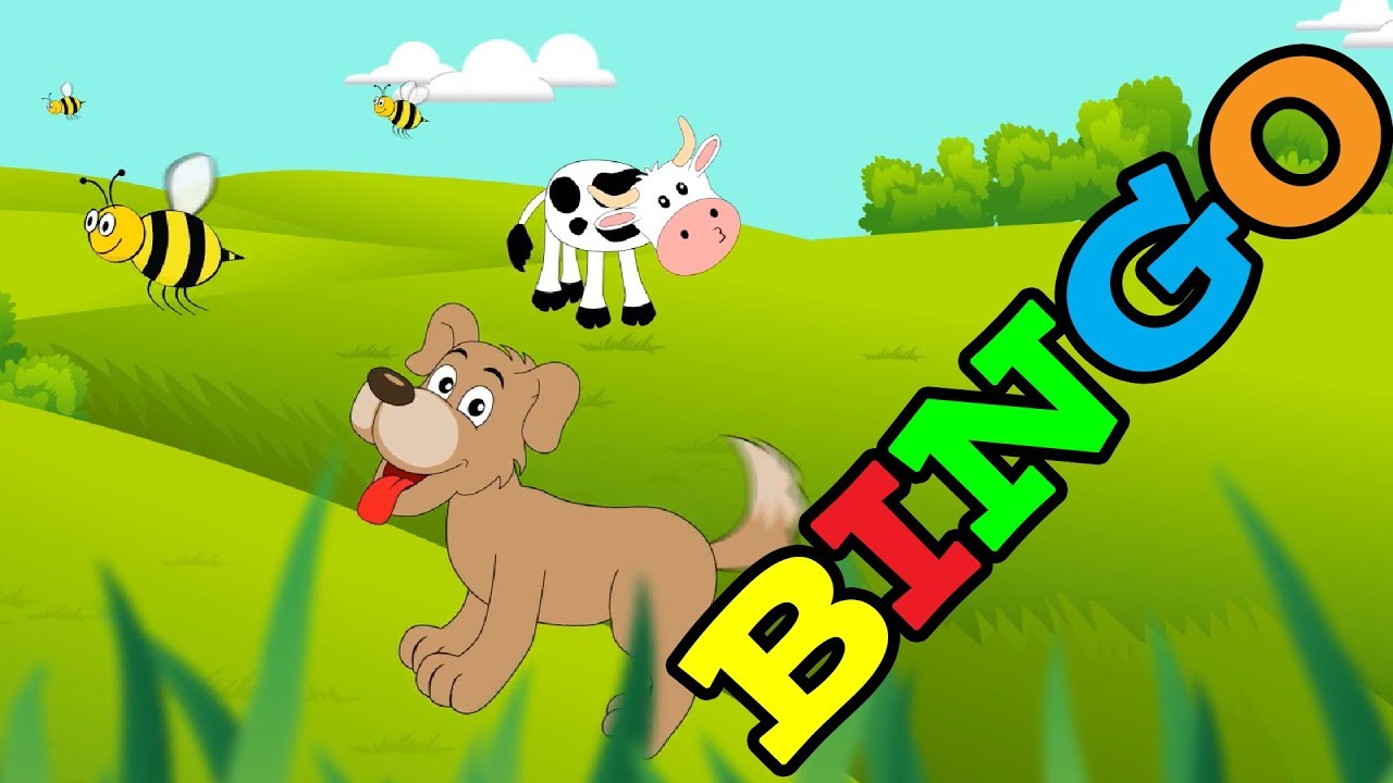 BINGO Dog Song Bingo Song for Kids YouTube