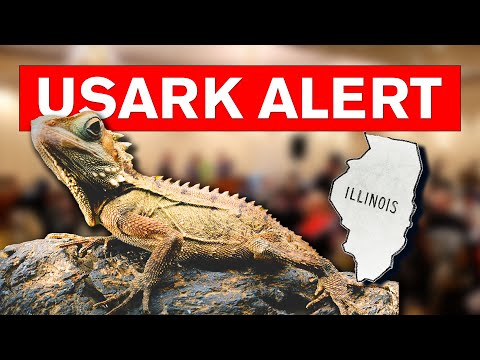 Another reptile program BAN!!!