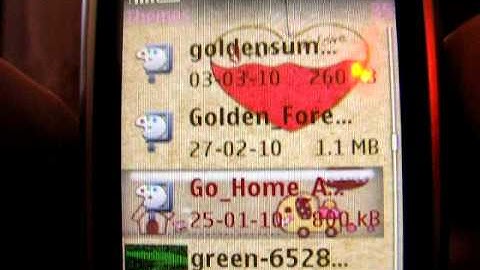 Nokia 6303 themes
