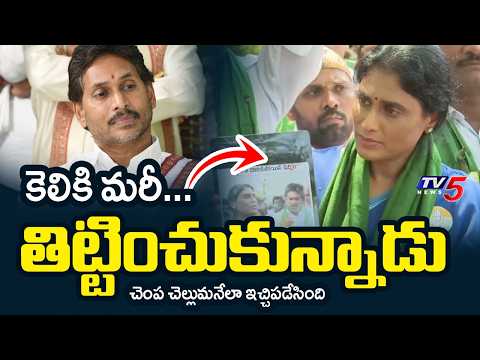 జగన్ ఎలక్షన్ స్టంట్..| YS Sharmila Reddy Firing Comments on YS Jagan and YSRCP Leaders | TV5 News - TV5NEWS