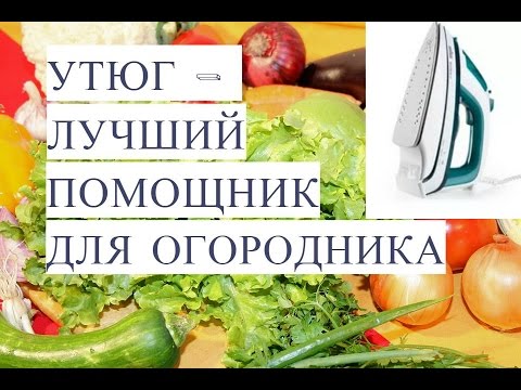 Утюг - Лучший Помощник для Огородника! Чтобы Огород Был в Радость!