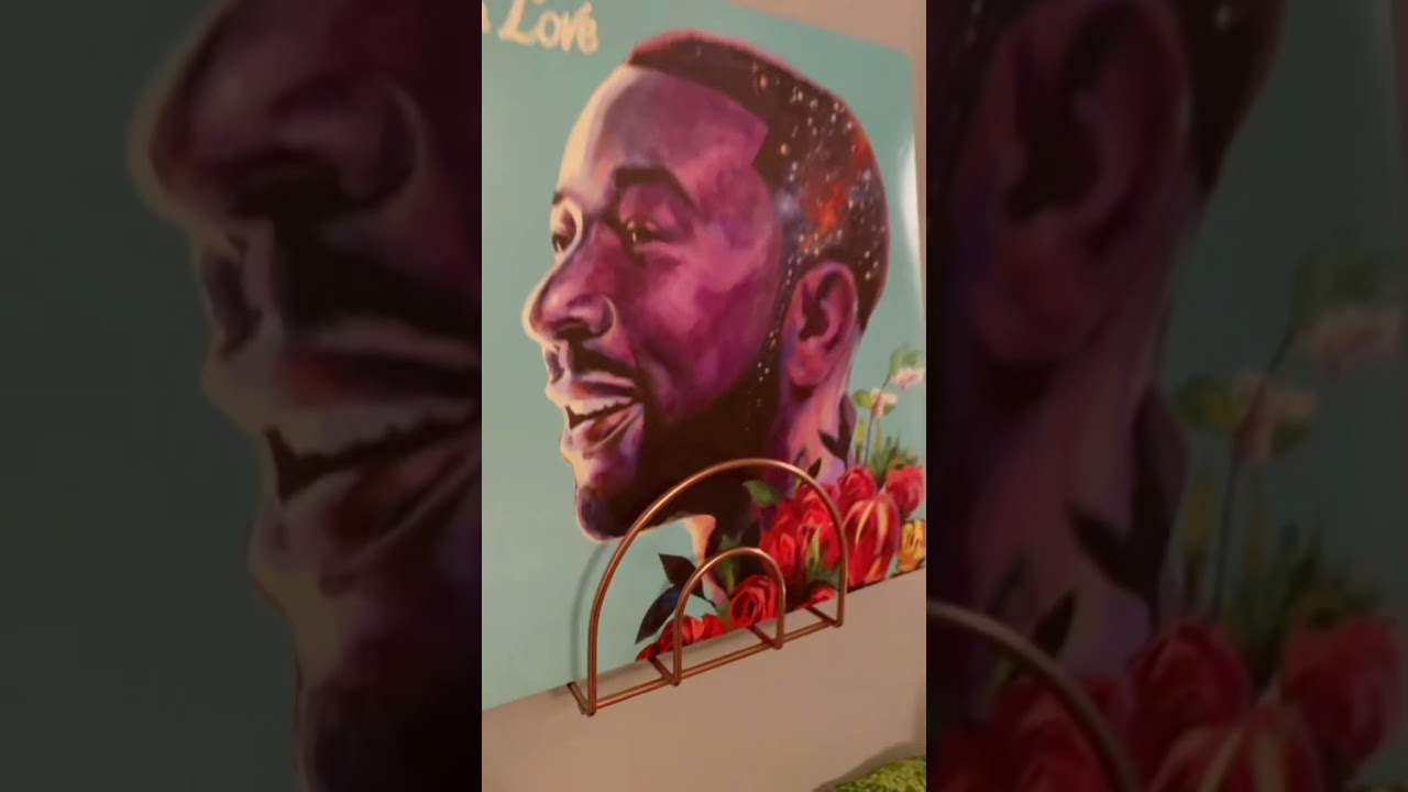 Have any other vinyl collectors used these? 