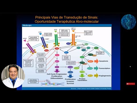 Vídeo: Função Da Tirosina Quinase Do Receptor C-Met Na Carcinogênese E Oportunidades Terapêuticas Associadas