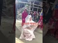 কমলা সুন্দরী নাচে