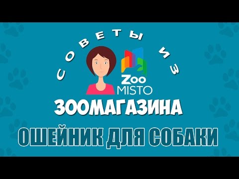 Как правильно подобрать ошейник собаке | Виды ошейников для собак | Советы из зоомагазина