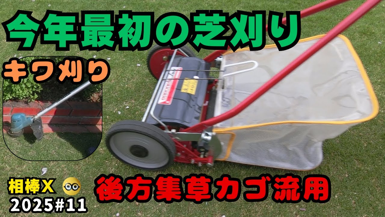 今年最初の芝刈り】ちょっとまだ時期が早かったのですが、次回の作業に 