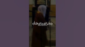 ما تيسر من سورة المائدة 🤎( ياسر الدوسري )