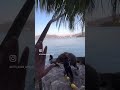 Best cafe to visit in Phuket thailand #viralvideo @blue harbour coffee cafe #youtubeshorts