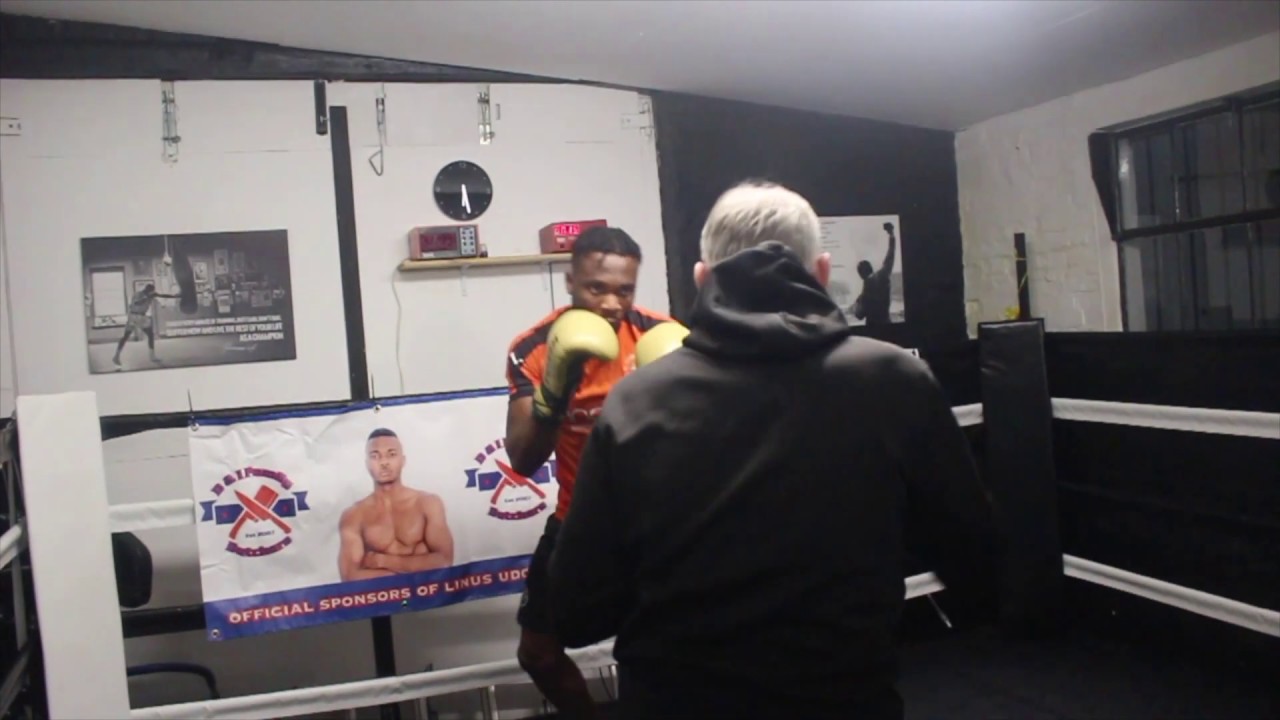 LUTON TOWN'S NEXT BIG THING!!! LINUS UDIFIA WORKOUT RINGCRAFT BOXING GYM YouTube