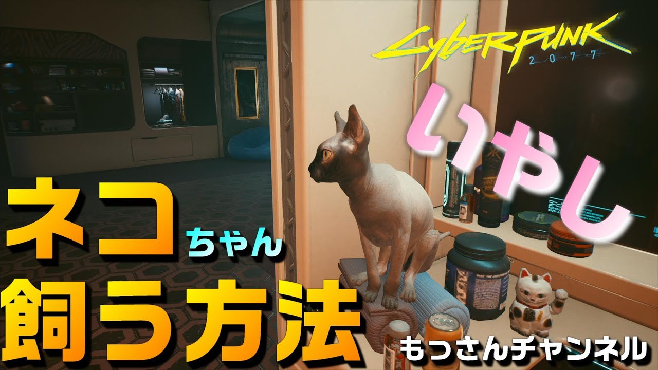 サイバーパンク 2077】猫を飼う方法＋秘密の部屋（ジョニーの弾き語り