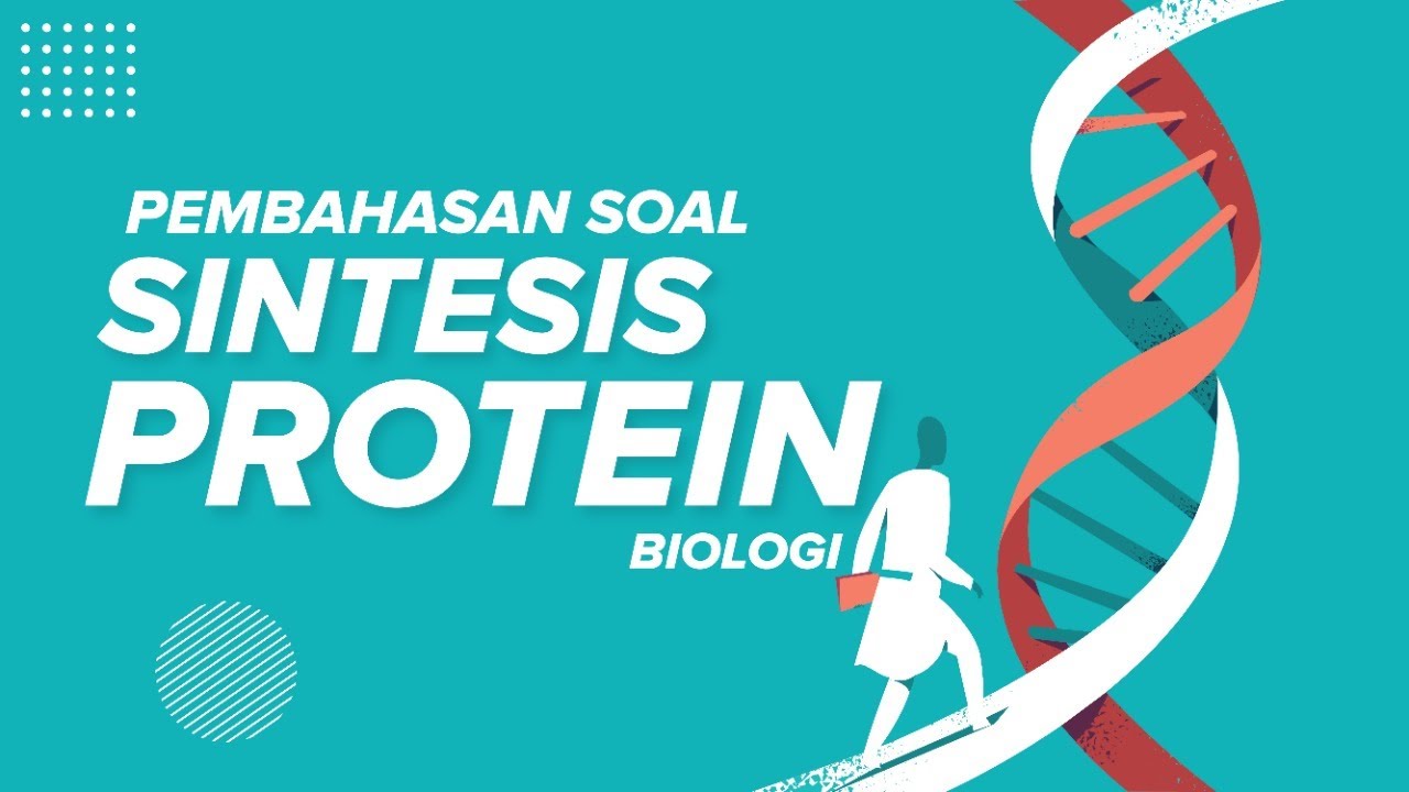 Pembahasan Soal Sintesis Protein - Biologi SMA - YouTube