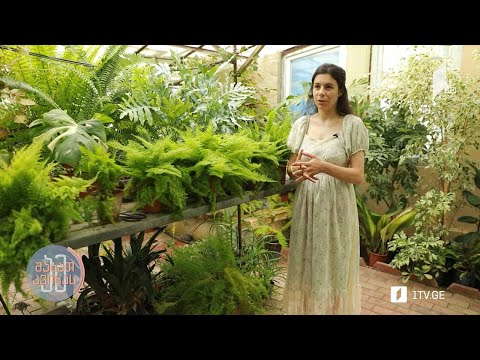 რუბრიკის „O2“ მასპინძელია ფლორისტი ანი ციციშვილი