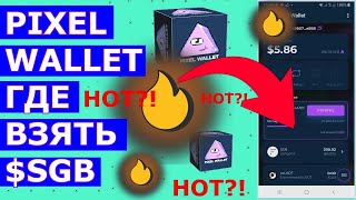 PIXEL WALLET 💎 ГДЕ ВЗЯТЬ SGB? ⛏️ ПОЧТИ КАК HOT Near WAllet