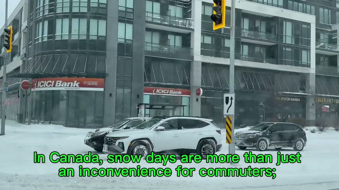 Beautiful Snow day today 