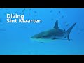 Diving Sint Maarten - Netherlands