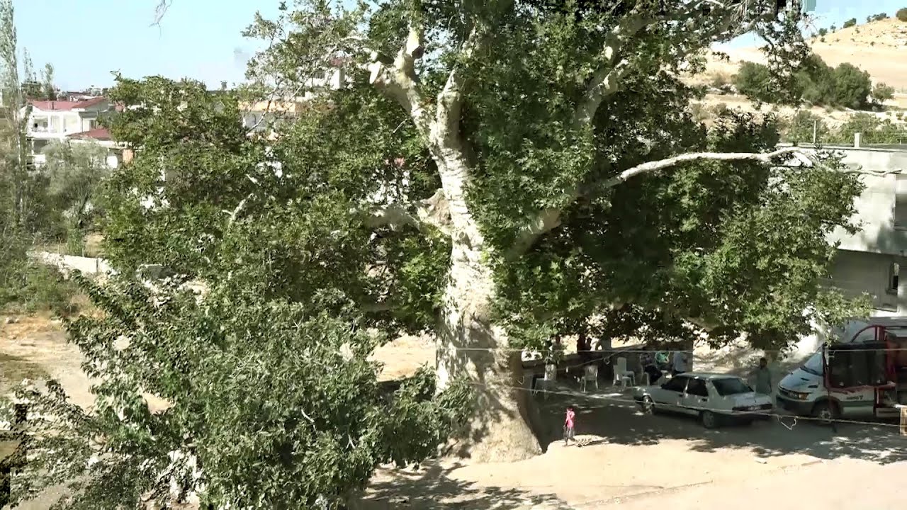 YUKARI NASIRLI KÖYÜ 2022 DOĞA VE KÖY İÇİ KARELERİ  BEYZA KAMERA 05417711837