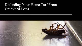 Pest Control Services | Fairfax, VA - PMSI