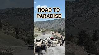 ROAD TO PARADISE #viral #fyp #youtubeshorts #trending #shortfeed