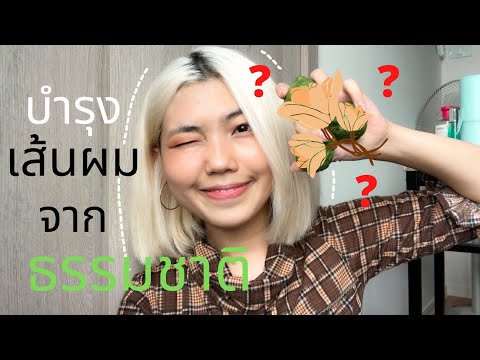 วิธีบำรุงผมเสีย จากธรรมชาติ!!! | kamkanwaa