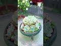 Spring Fling: Quick Succulent Spraying Guide