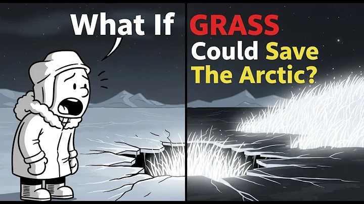 “What If Grass Could Save The Arctic?”