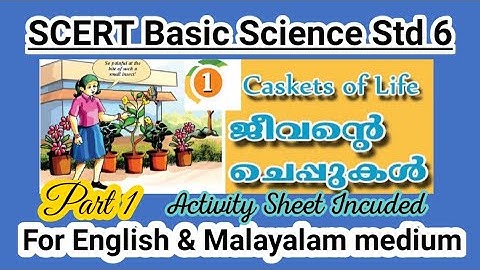 STD 6 SCERT BASIC SCIENCE Unit 1|Caskets of Life  Jeevante Cheppukal Part1| Kite Victers Worksheet