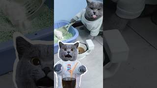 Finally, Bro's Reaction Completely Shocked Me!😲☕ #Funnycat #Prank #Funnymemes