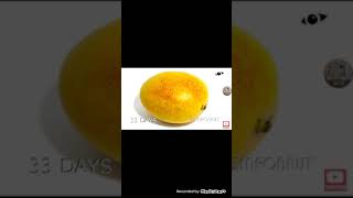 Time Lapse Burger Frischen Hamburger  Burger von McDonalds Mango