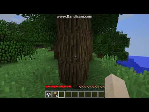 minecaf survival bolum 1