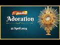  live 22 april 2024  adoration 1100 am  madha tv