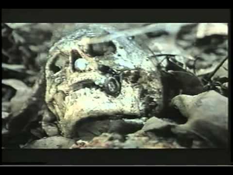 cannibal holocaust free at last - youtube