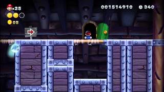 Sparkling Waters - Haunted Shipwreck [New Super Mario Bros Wii U]