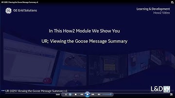UR-1029 l Viewing the Goose Message Summary v1