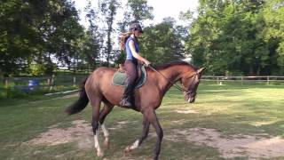 Pangare July 24Th, 2016