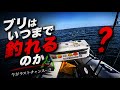 福井美浜10kgブリ釣り❤️🔥いつまで??