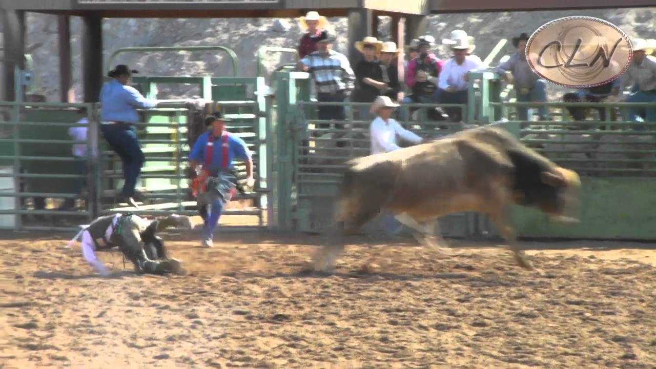 Youth Bull Riding YouTube