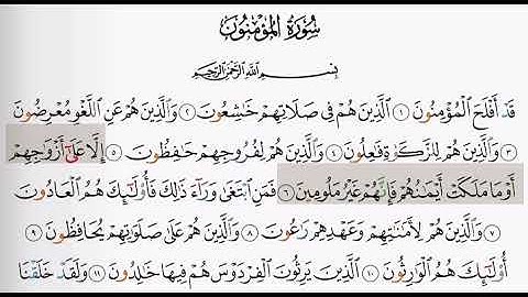 (23) سورة المؤمنون | شيخ الزين محمد احمد