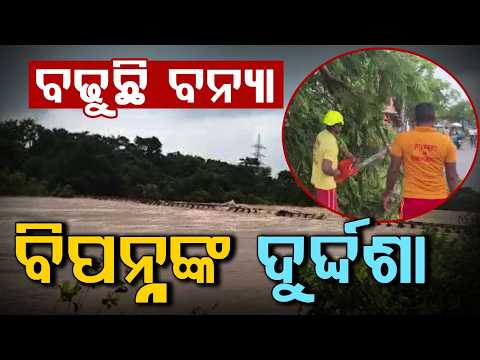 ବଢୁଛି ବନ୍ୟା ବିପନ୍ନଙ୍କ ଦୁର୍ଦ୍ଦଶା | Heavy Rain & Flood Havoc Across Odisha | Flood Alert | Argus News