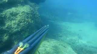 İsmail Çınar Alanya Tek atış 2 karakulak (minekop)